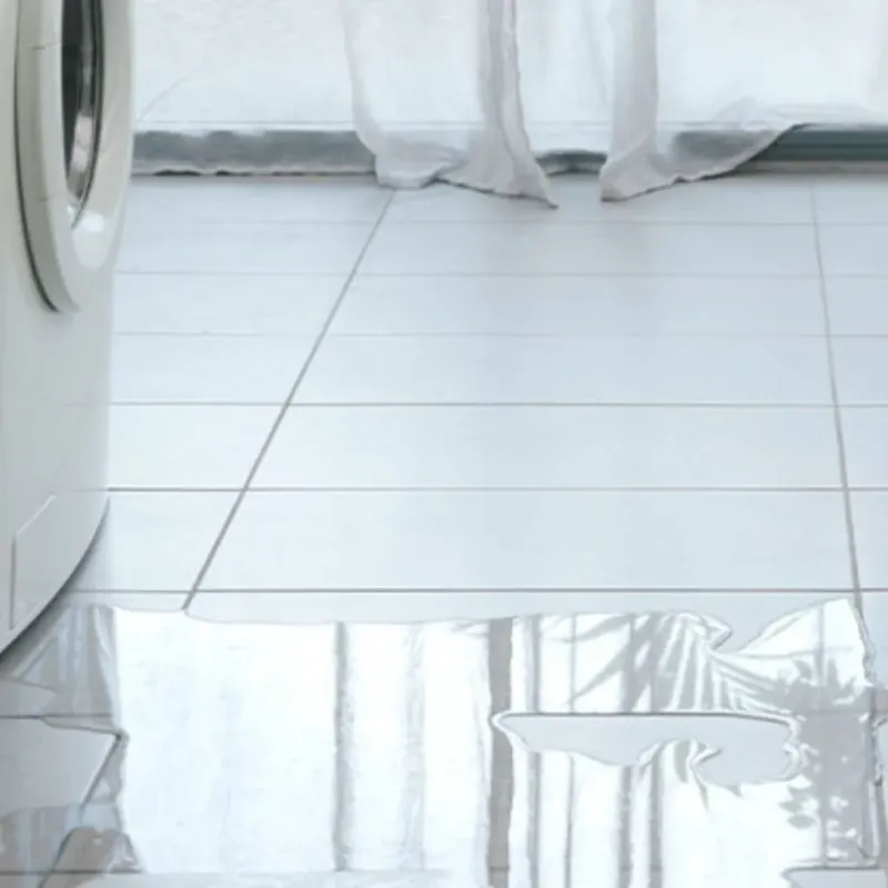 Appliance Leak Cleanup in Thomaston, GA