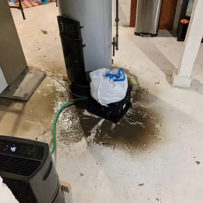 Sewage Backup Cleanup Service in Thomaston, GA